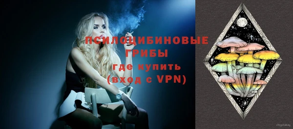 соль курить ск Бородино