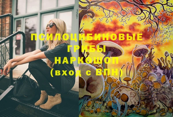ECSTASY Бугульма