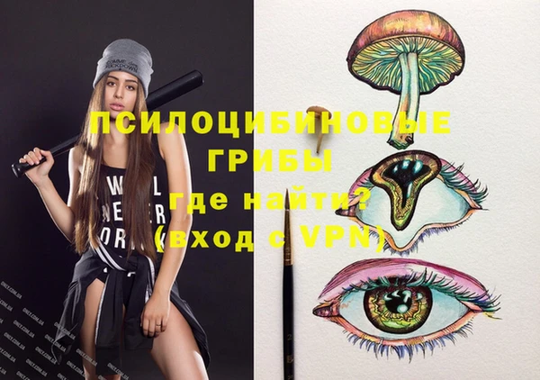 соль курить ск Бородино