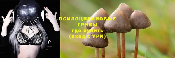 ECSTASY Бугульма
