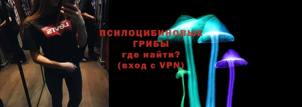 соль курить ск Бородино
