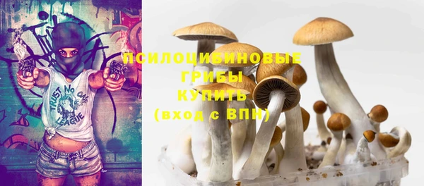 ECSTASY Бугульма