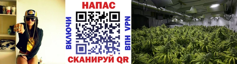 Каннабис гибрид  Петрозаводск 